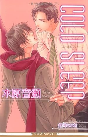 Amazon.co.jp: 美しいこと(上) (Holly NOVELS) : 木原 音瀬, 日高